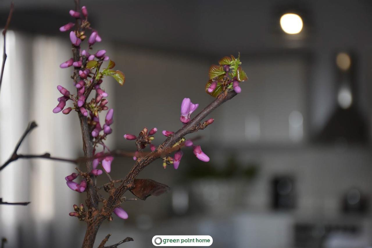 Green Point Home Chios Vrontados Экстерьер фото